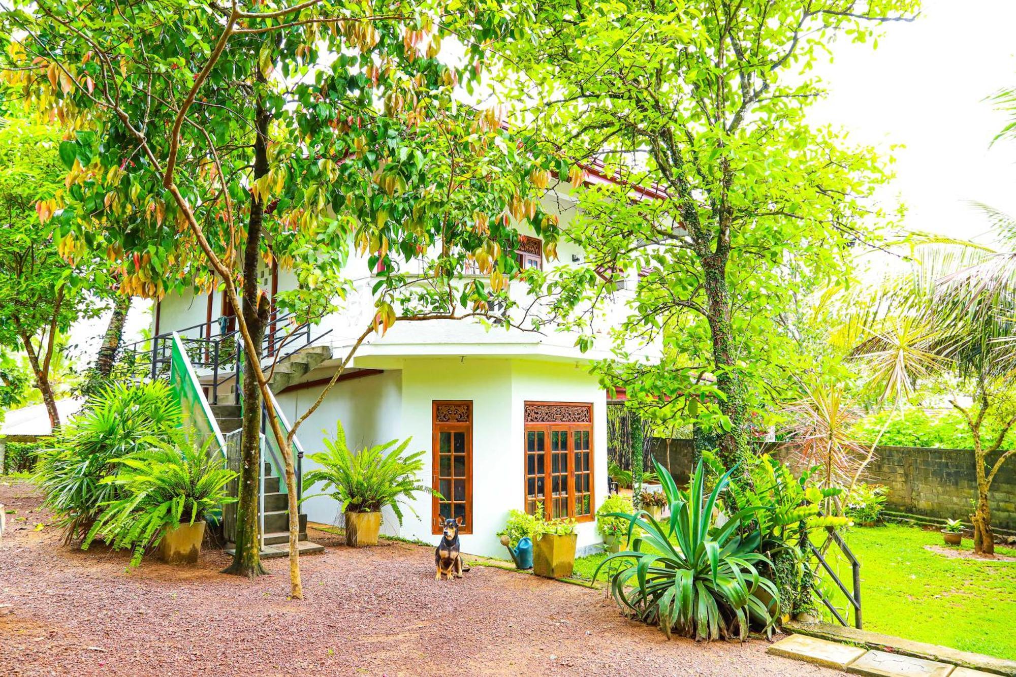 Dil'S Place Beruwala Kültér fotó